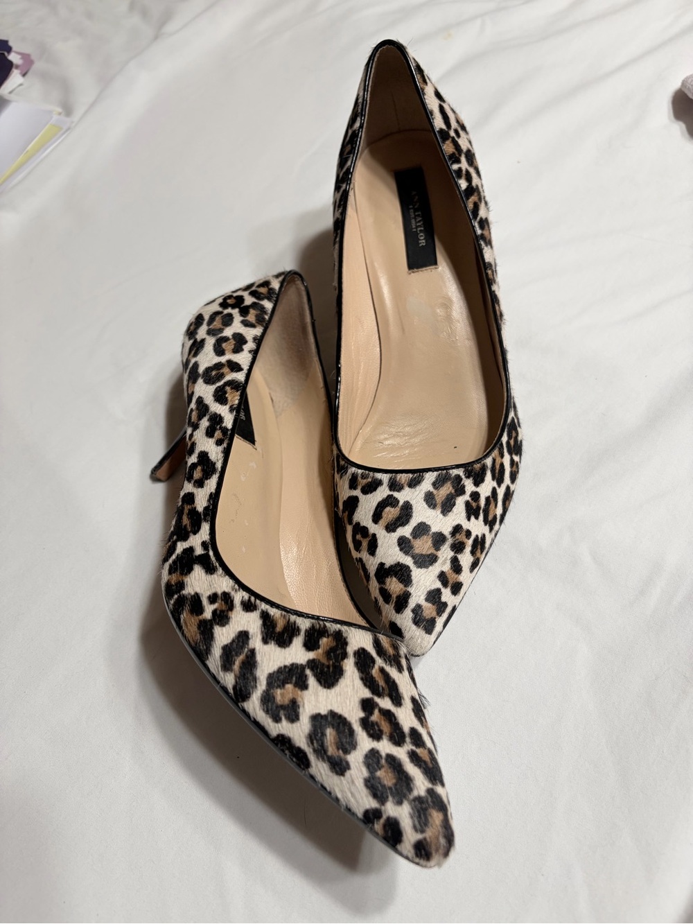 Ann Taylor Leopard-Print Pointed Toe Flats - Black, Brown, Cream - Picture 8 of 15